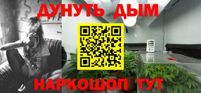 сатива Канаш