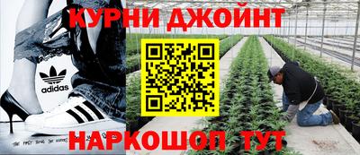 эйфоретик Кандалакша