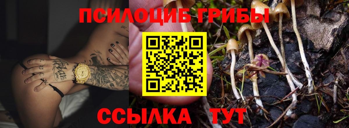 Галлюциногенные грибы прущие грибы Валуйки